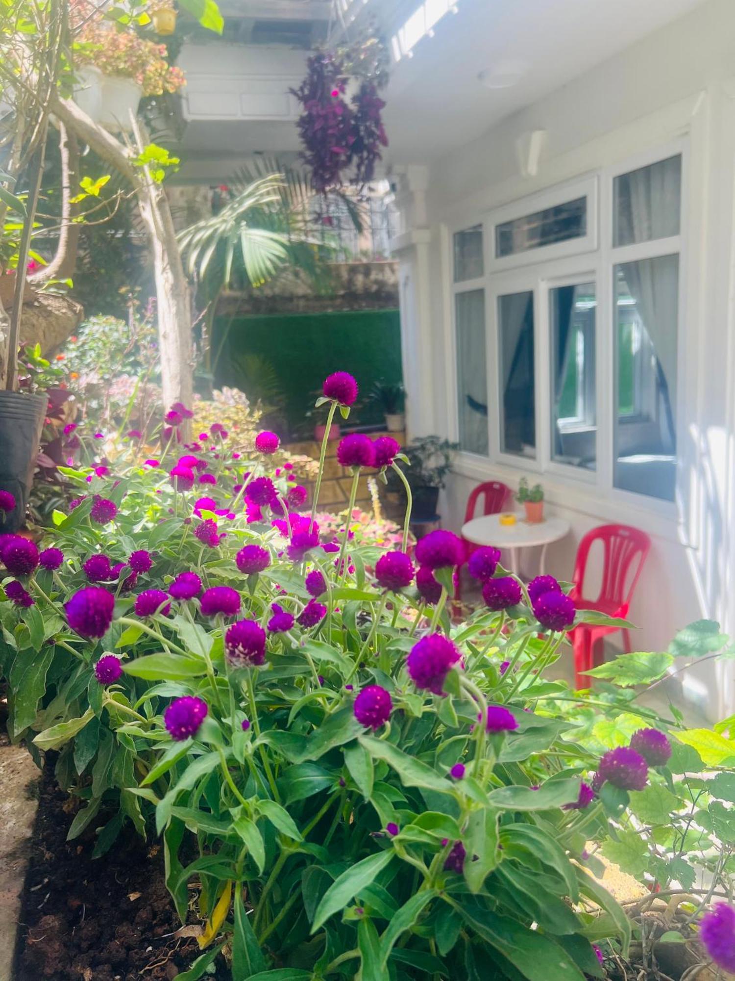 Villa Hotel Nam Khang 2 Da Lat Esterno foto