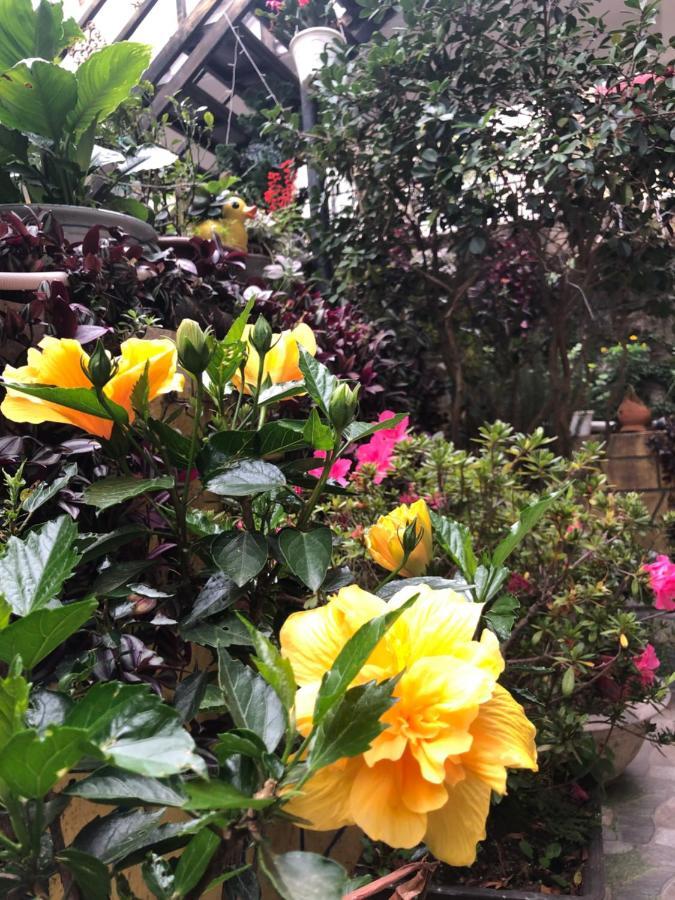 Villa Hotel Nam Khang 2 Da Lat Esterno foto